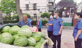 金乡吃瓜网51爆料金乡,揭秘金乡热点事件背后的真相！